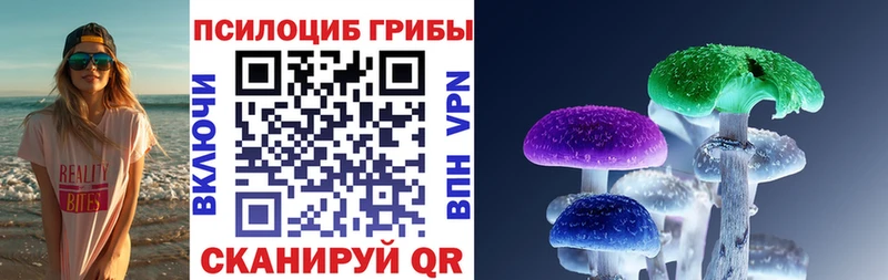 купить закладку  Слюдянка  Галлюциногенные грибы мицелий 